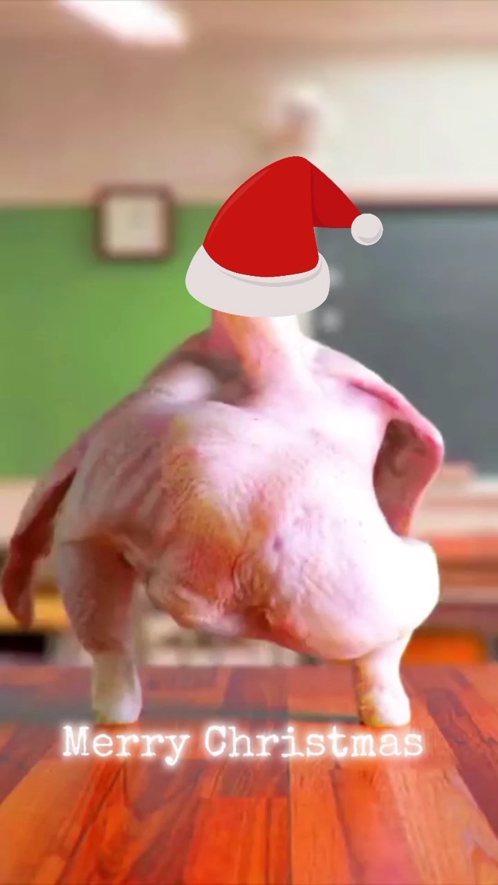 Baile De Pollo Divertido 