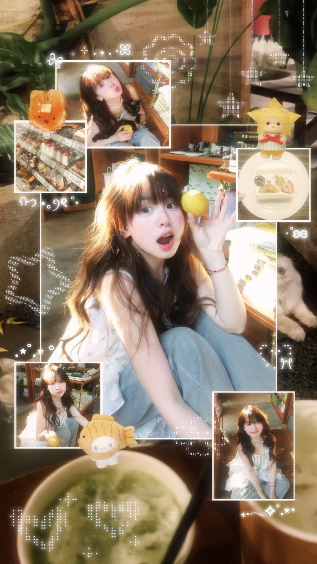 Cover Picture