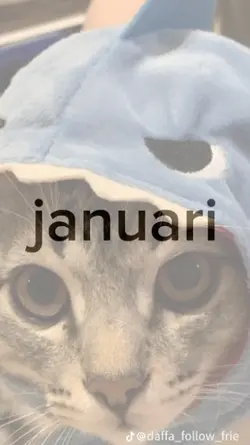 trend jj terbaru
