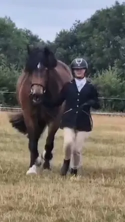 3rd best gelding!