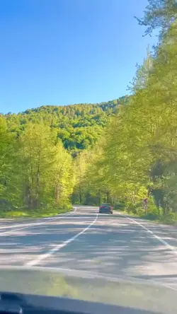 Viral slowmotion