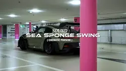 SPONGE SWING