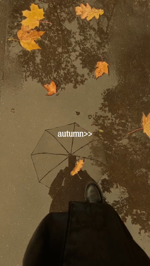 autumn leaves 