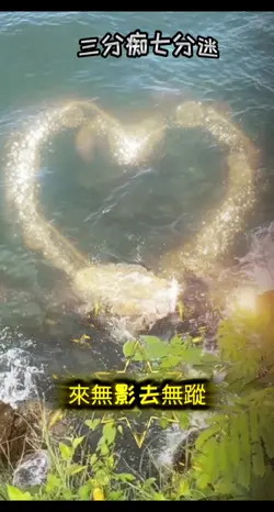 三分痴七分迷