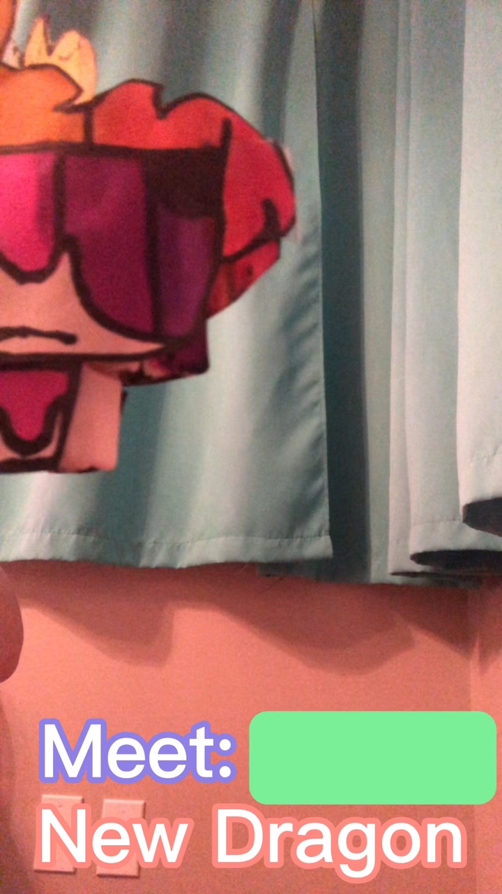 New Dragon >>>>