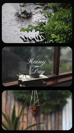rainy day