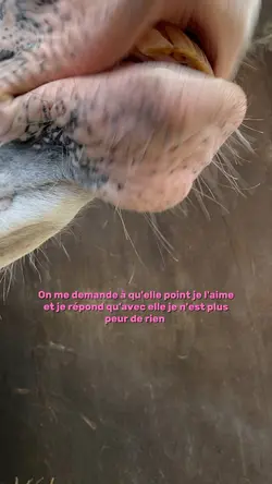 Ma femme