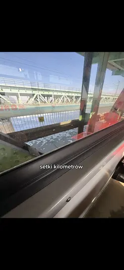 oczywiście dla beki 