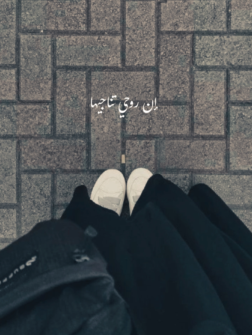 Wildlofer x Arabic