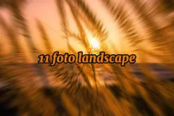 11 foto landscape


