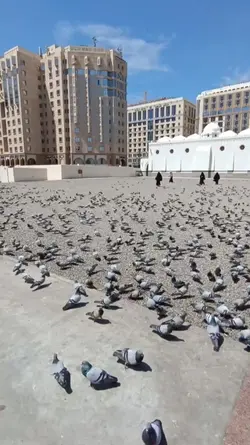 Mekah Madinah