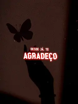 Meu endereço 