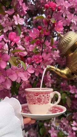 Spring >>