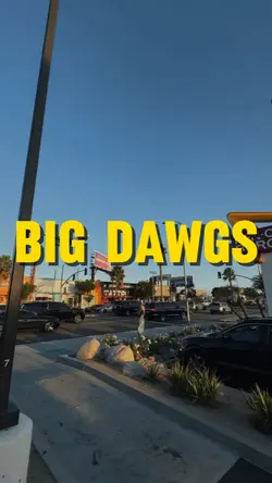 Big Dawgs