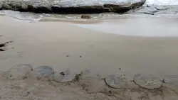 prank ke pantai