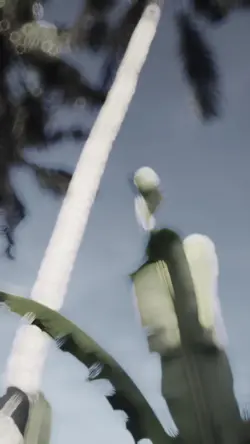 Cinematic Malam pagi