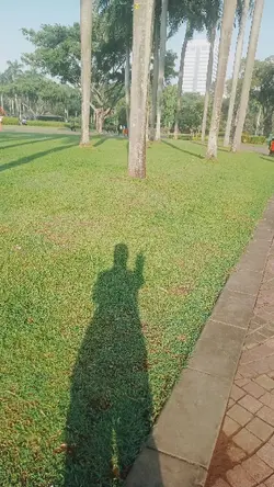 tentang intoleransi