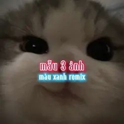 mẫu 3 ảnh 1:1