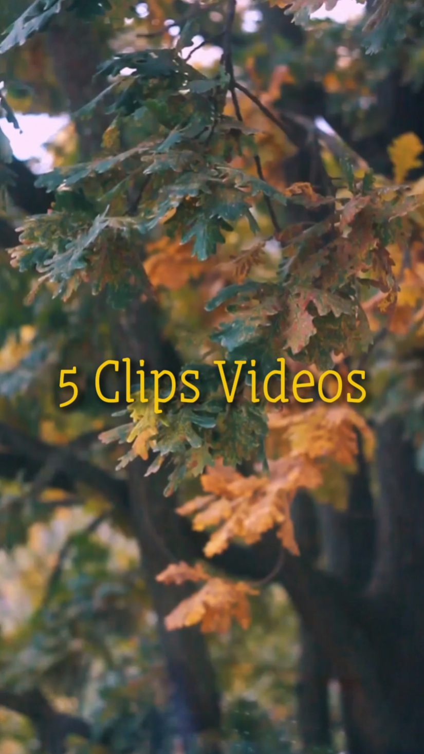 CINEMATIC 5 VIDEOS