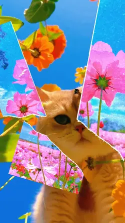 Beautiful Flower