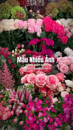 [16] Ảnh Xinh 