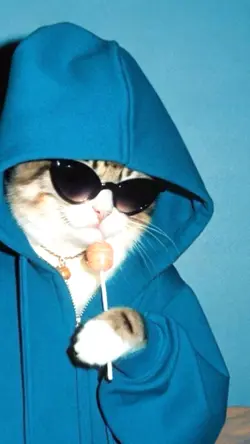 ต้องกล้าต้องกล้า