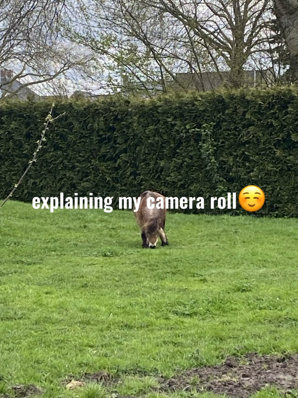 Explaining cam roll
