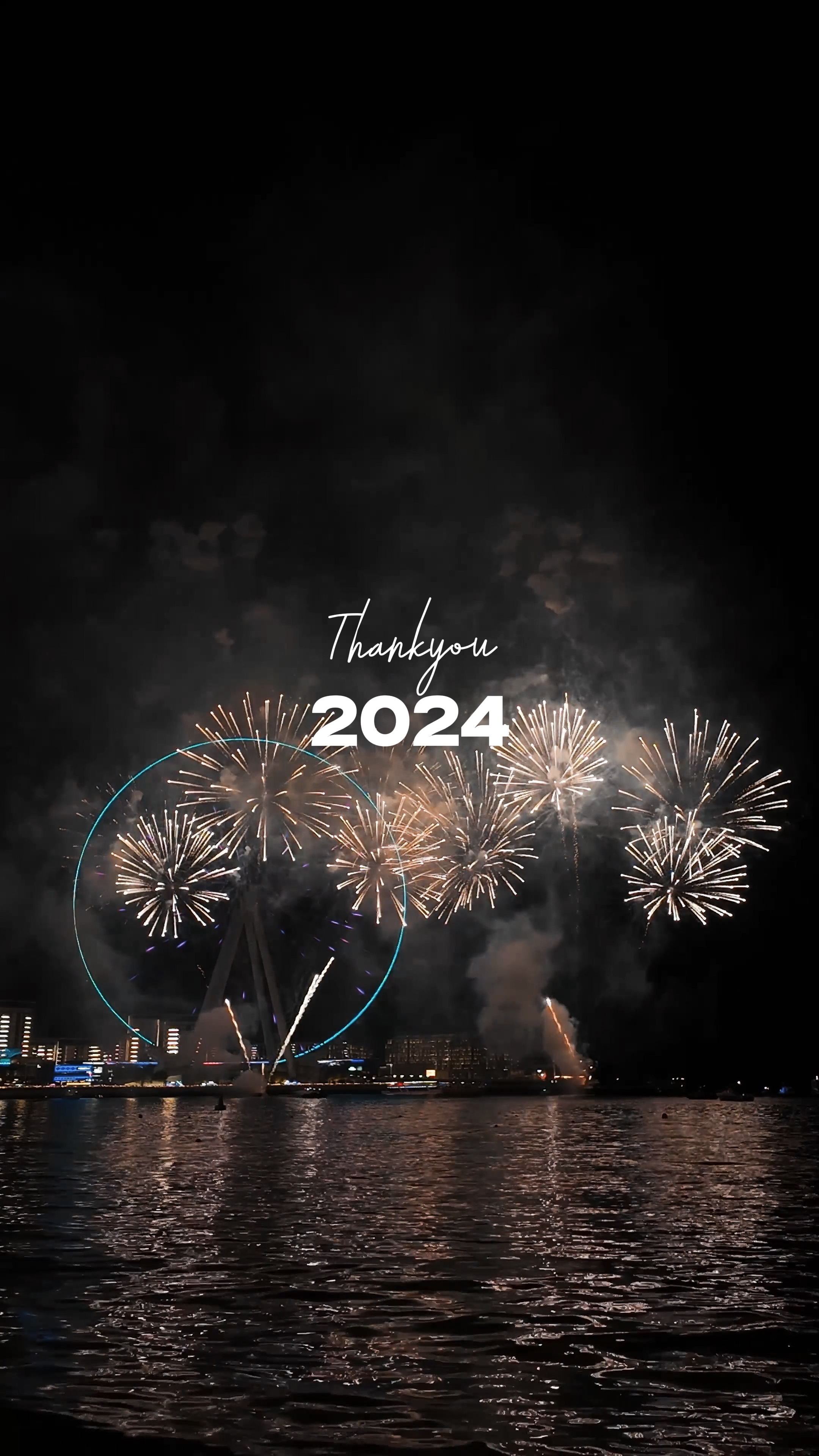 Resumen de 2024