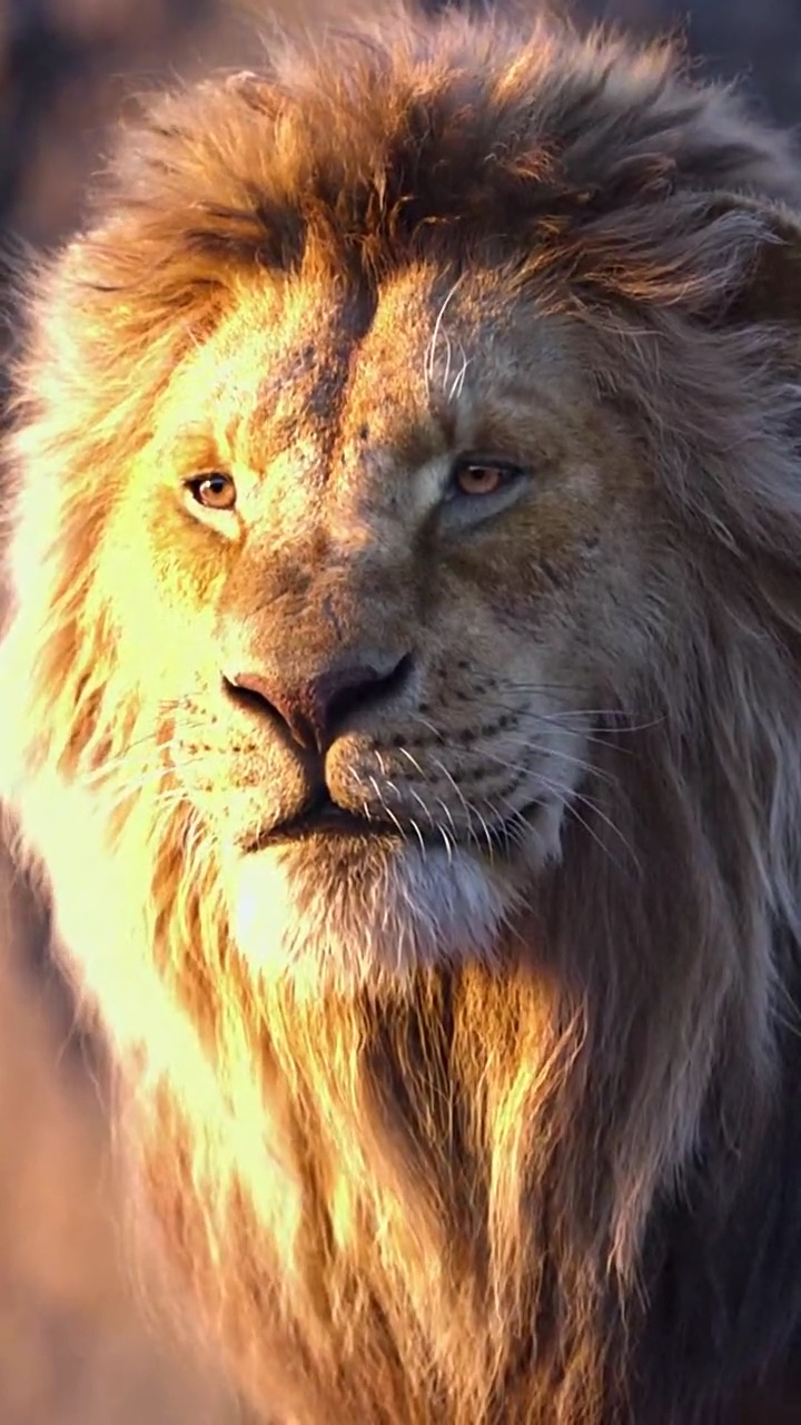 Lion trend 