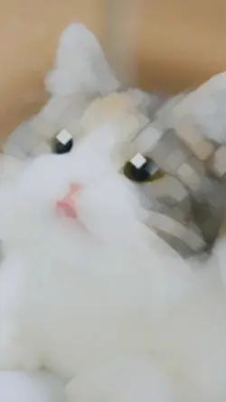 jj kucing viral