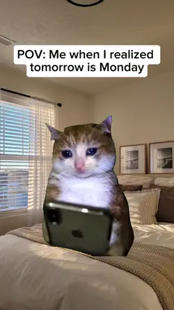 Tomorrow is Monday