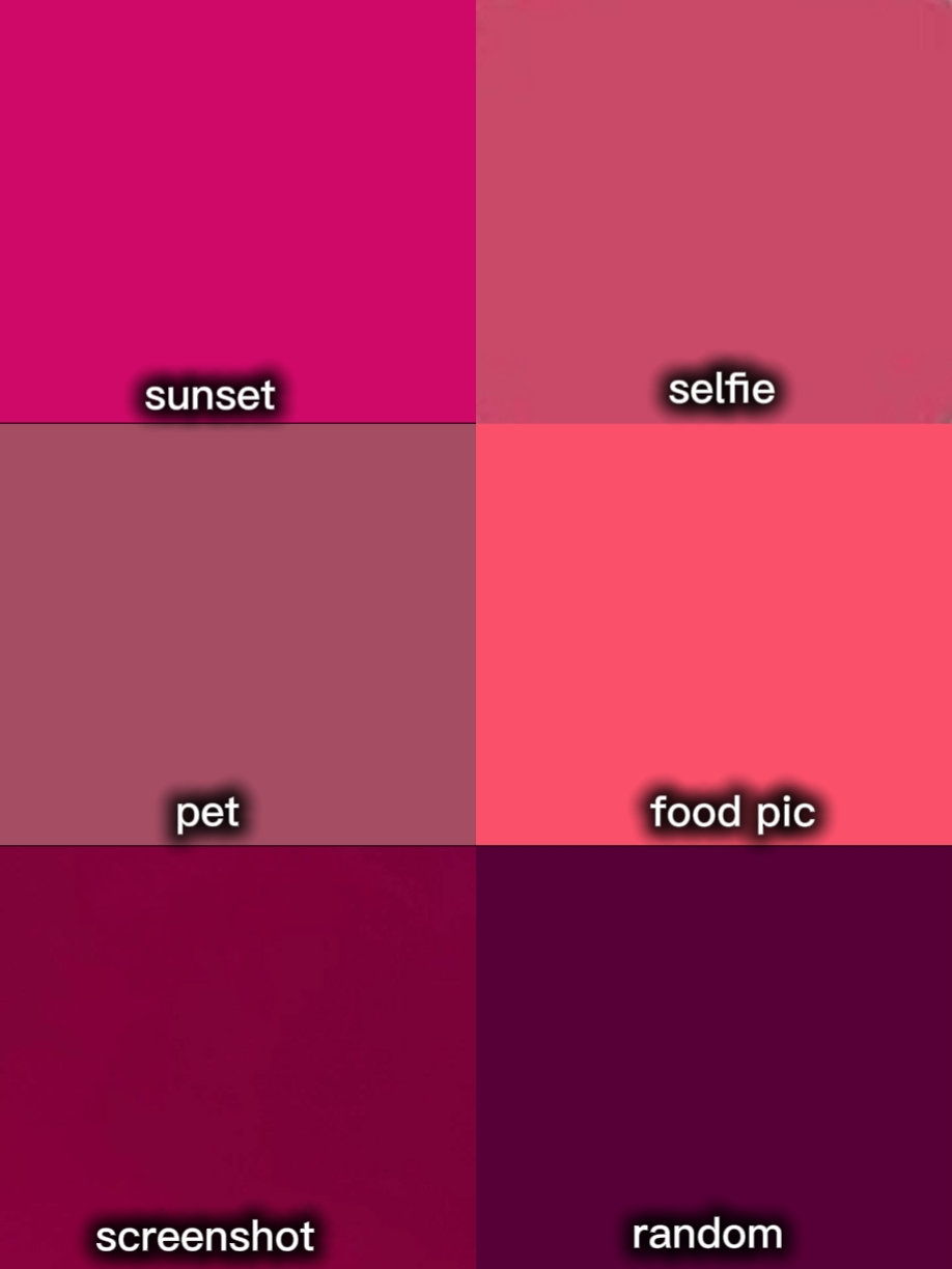 Seis fotos