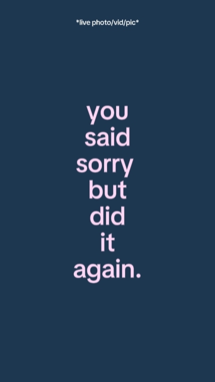 yousaidsorrybutdidit