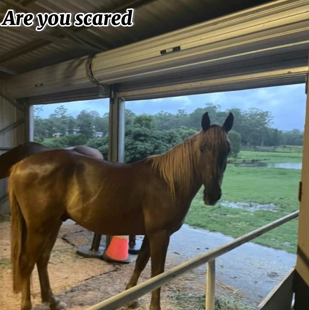 Off Topic but i’m te