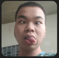 Mẫu troll
