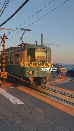 minivlog 25 clips