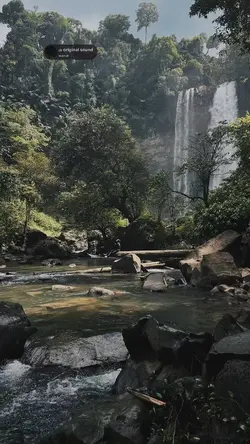 intro aesthetics
