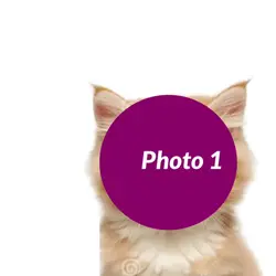 Trending Edit New