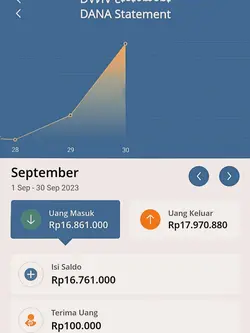 Info saldo dana