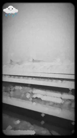 bbbbb but I am not s