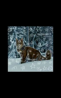 :3