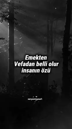 meryemteymurluk