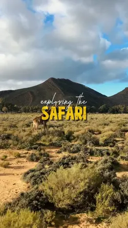 exploring the safari