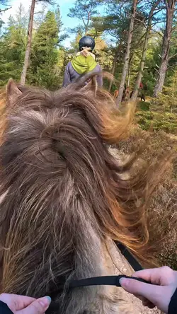 4k equestrian slowmo