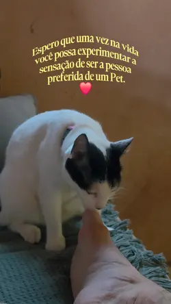 pet preferido