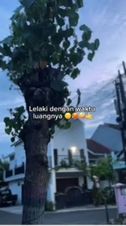 Cinematic kece 