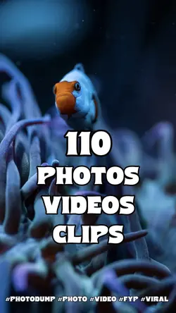 110 photos videos
