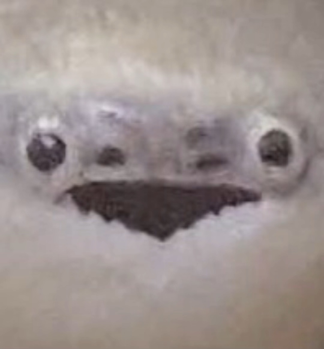 合作したい！あと 関係 、 欲しいな、