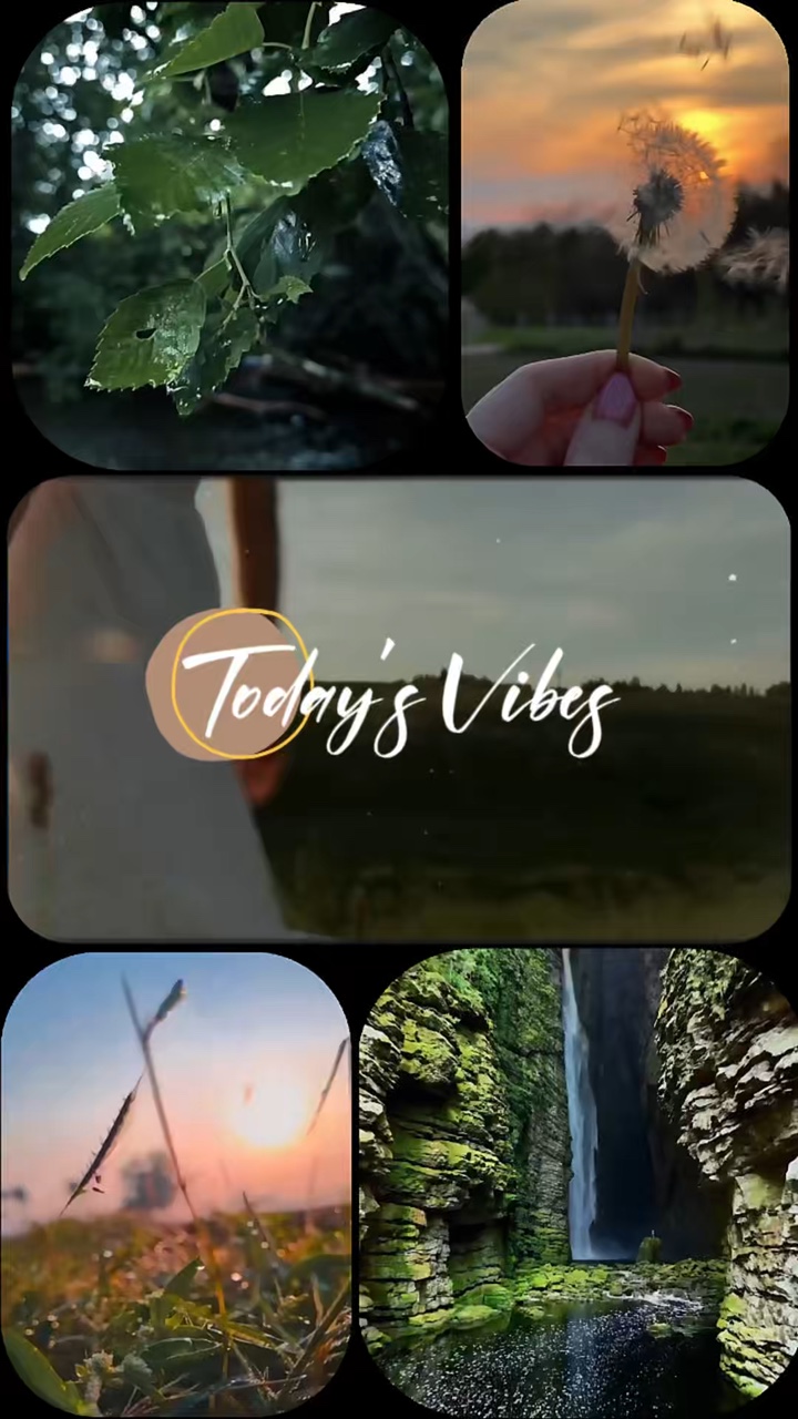 Nature vibes
