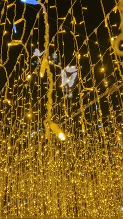 幻想的なテンプレート✨